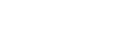 Vetted Security Solutions Logo